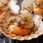 Wild-Caught Scottish King Scallops 野生蘇格蘭帶黃扇貝