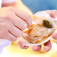 Live Cornish Scallop Roe-on 康沃尔郡带黄活扇贝