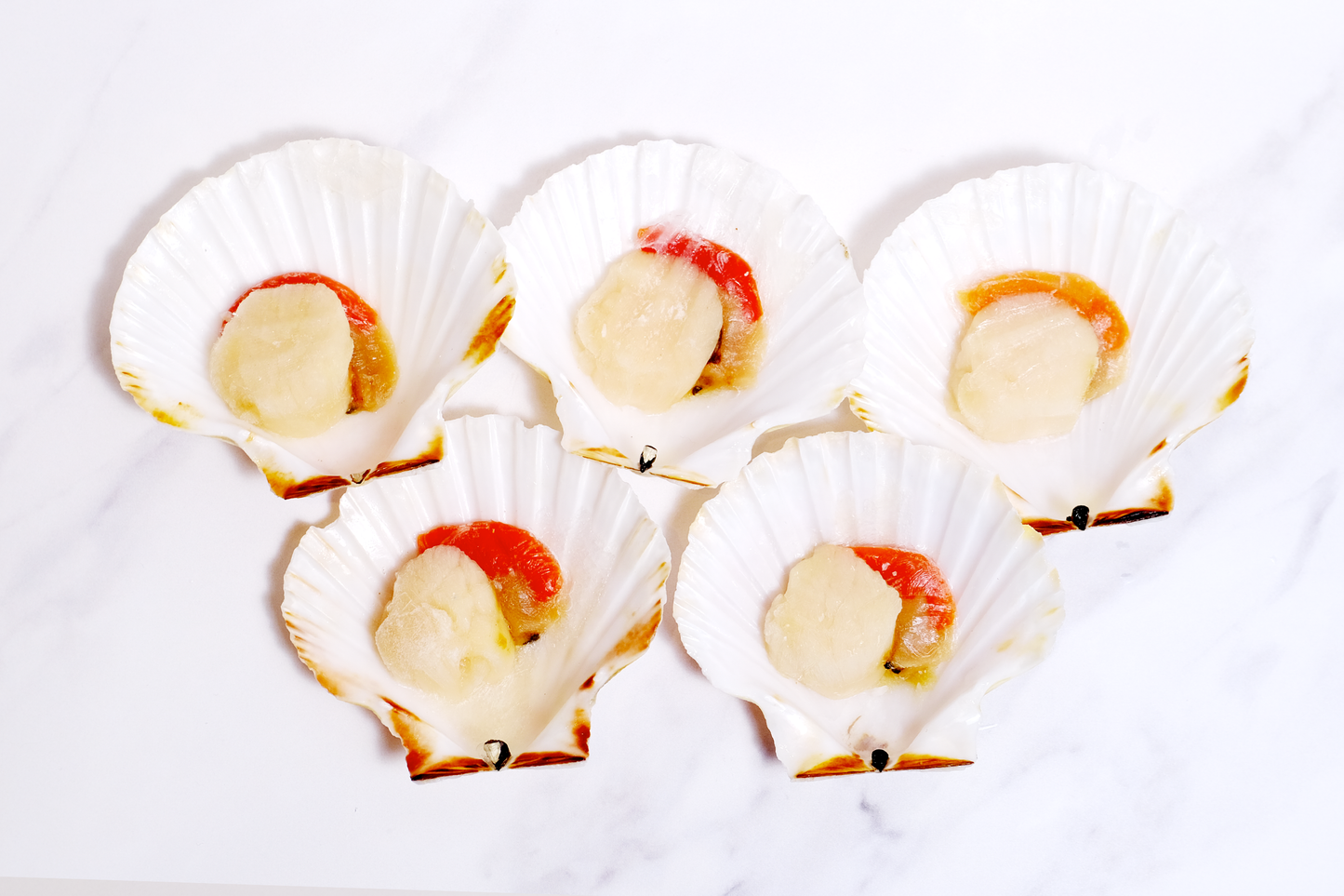 Wild-Caught Scottish King Scallops 野生蘇格蘭帶黃扇貝