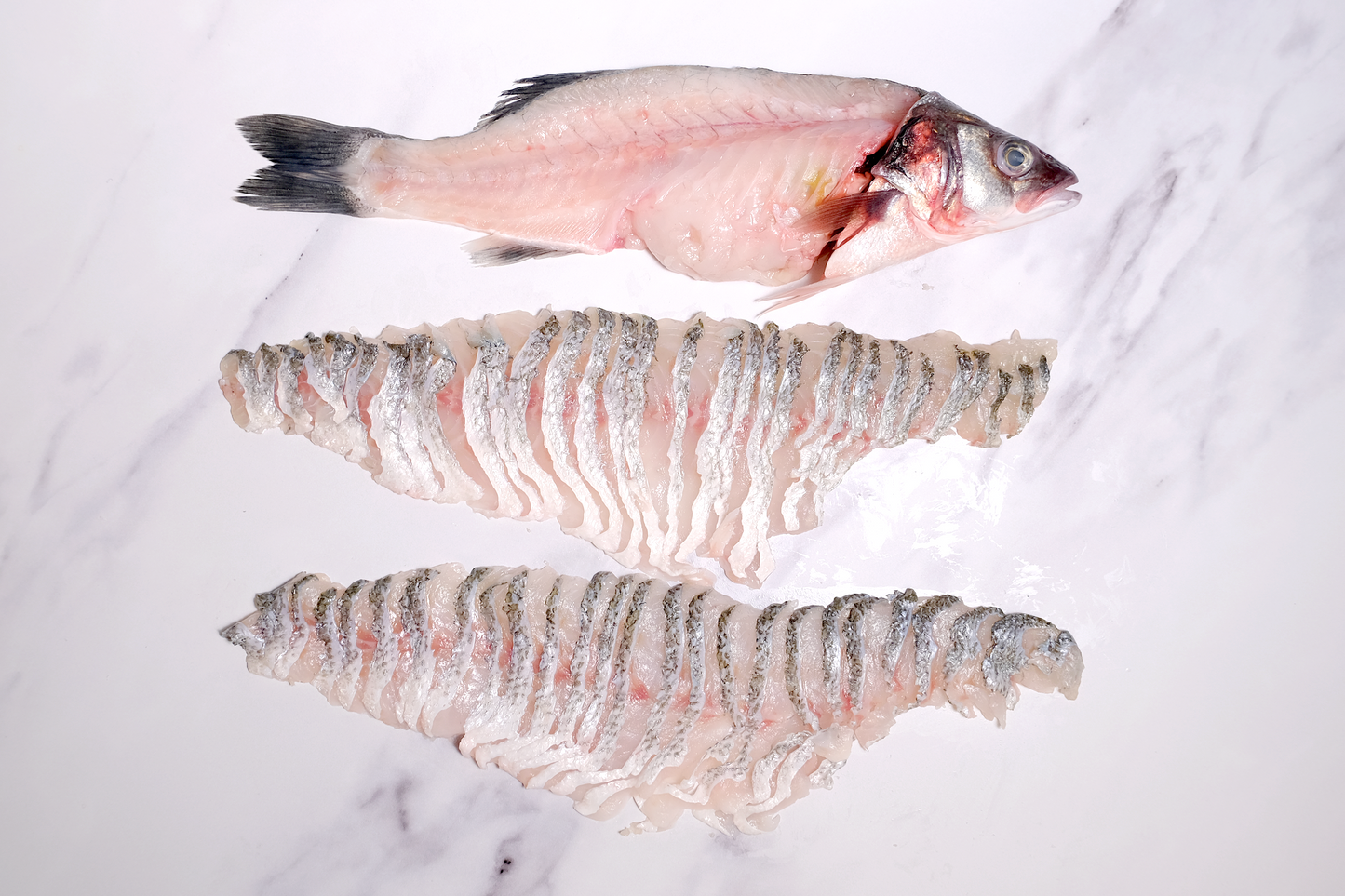 Fresh Farmed Sea Bass Slices 新鲜鲈鱼鱼片