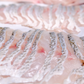 Fresh Farmed Sea Bass Slices 新鲜鲈鱼鱼片