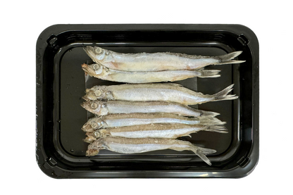 Capelin Shishamo 一夜干多春魚