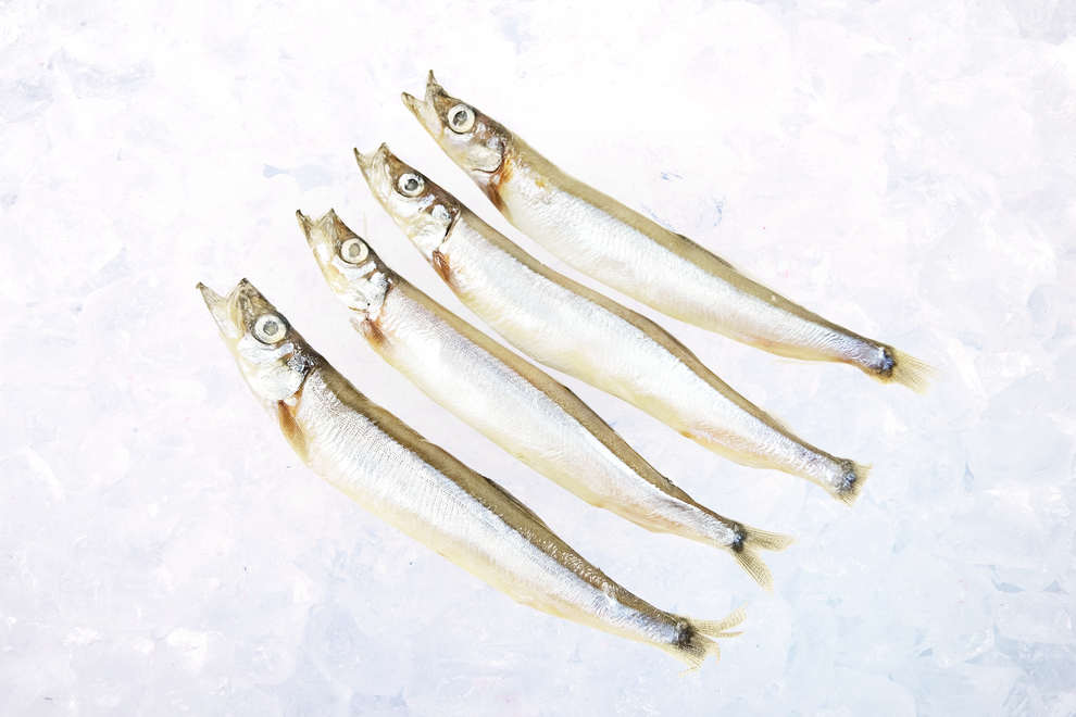 Capelin Shishamo 一夜干多春魚 – Celeplate