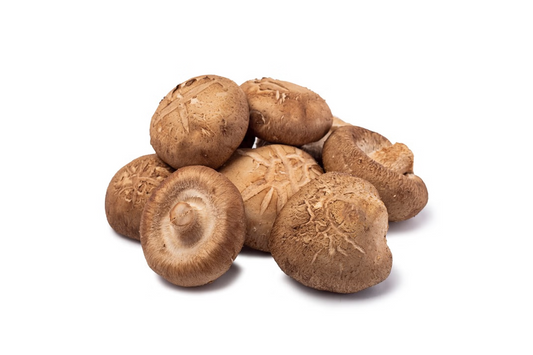 Shitake mushroom 香菇