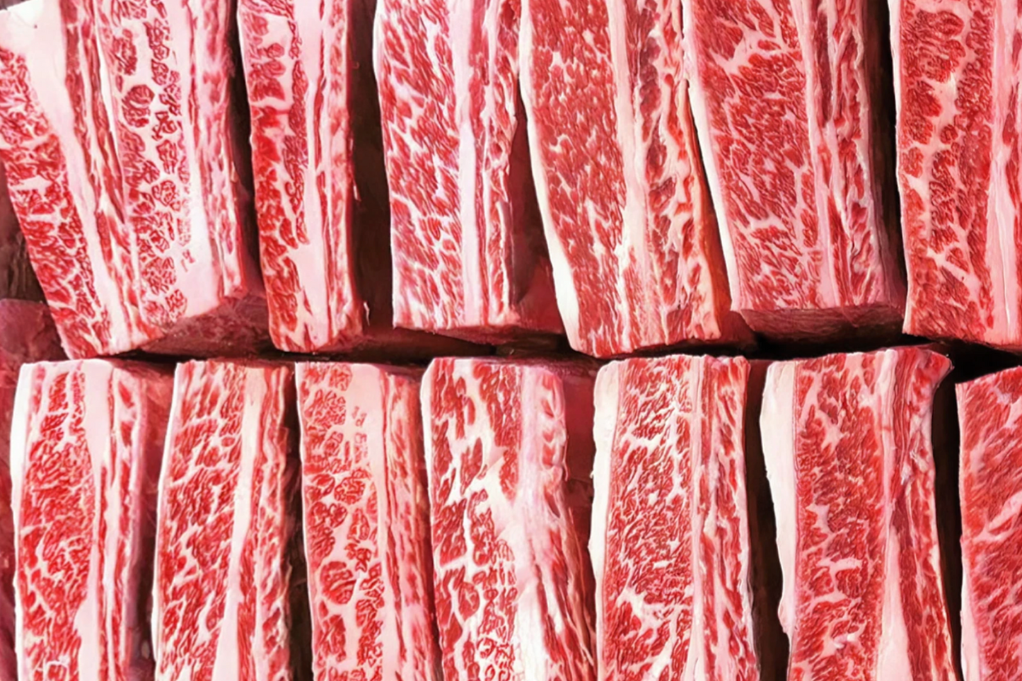 Fresh Angus Short Ribs BMS 4 Block Bulk-buy 整切雪花牛小排家庭裝