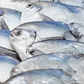 Fresh Silver Pomfret 銀鯧魚