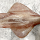 Wild-Caught Sashimi Grade Whole Squid 野生船冻整条刺身级鱿鱼