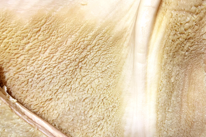 Beef Tripe Rumen Stomach 牛肚