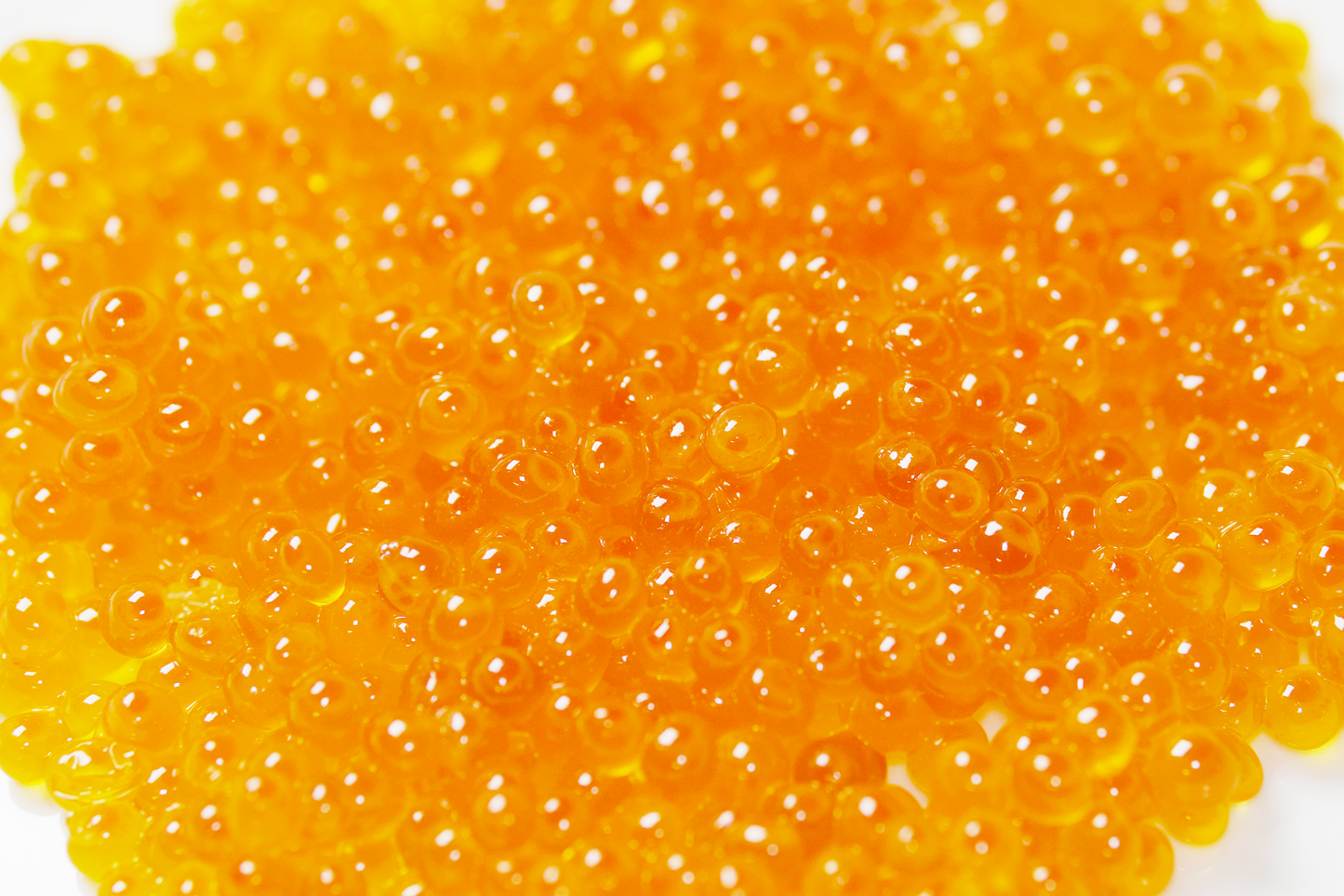 Trout Roe Caviar Ikura 虹鳟鱼卵