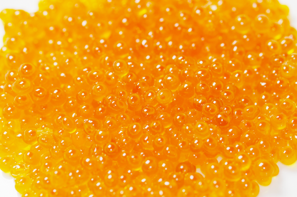 Trout Roe Caviar Ikura 虹鳟鱼子酱