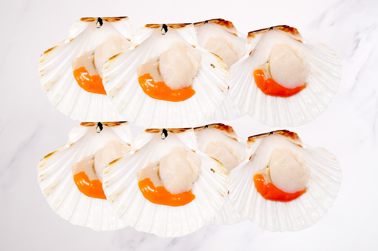 XXL Wild-Caught King Scallops Bulk-buy 大號野生蘇格蘭帶黃扇貝家庭裝