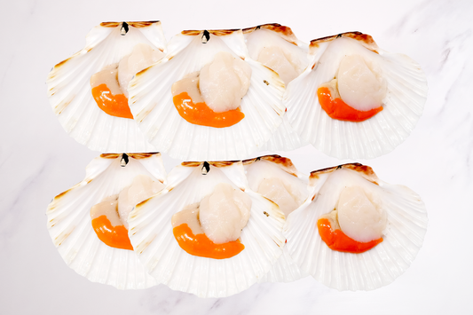 XXL Wild-Caught King Scallops Bulk-buy 大号野生苏格兰带黄扇贝家庭装