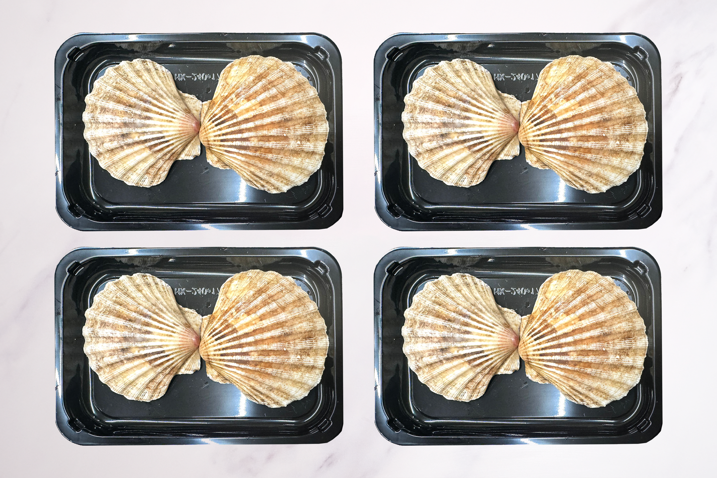 XXL Wild-Caught King Scallops Bulk-buy 大號野生蘇格蘭帶黃扇貝家庭裝